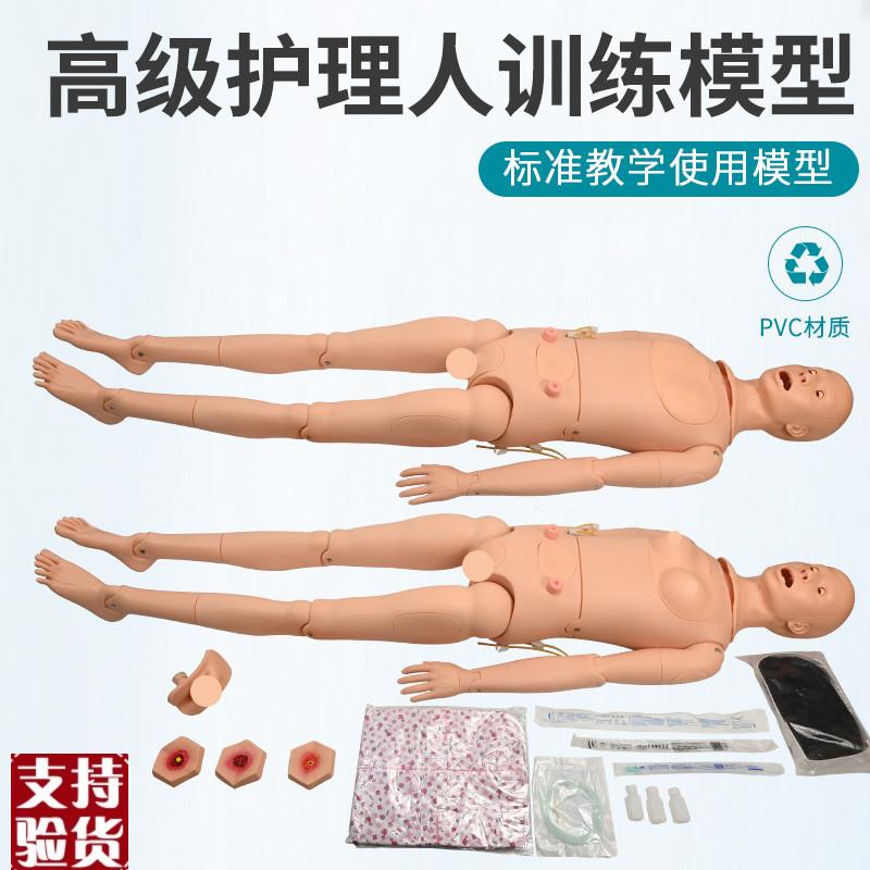 高级全功能护理人体模型男女导尿B模型带内脏褥疮口鼻插管吸痰洗