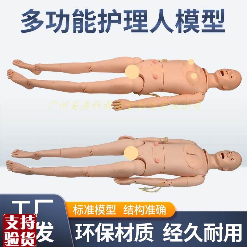 高级全功能护理人体模型男女导尿模型带内脏褥P疮口鼻插管吸痰洗