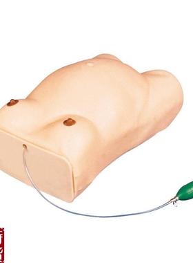 高级孕妇检查模型iGD/FW1/妇科检查模型/怀孕检查模型电子检查人