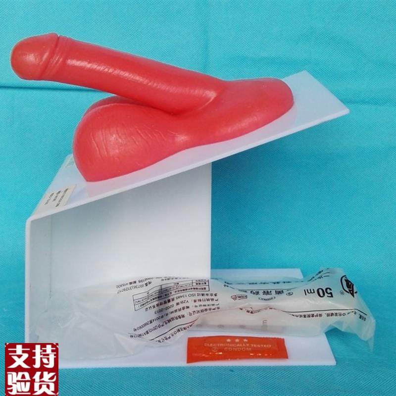 男性生殖器d演示模型男性生殖系统计生教学医用讲解展示