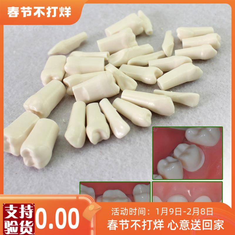 ENOVO颐诺口腔齿科牙医备牙z仿真牙齿牙体制备窝洞备牙粒离体牙
