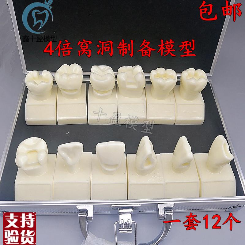 牙科4倍大窝洞制j备模型四倍牙齿备牙标准示范嵌体洞型12个M7025
