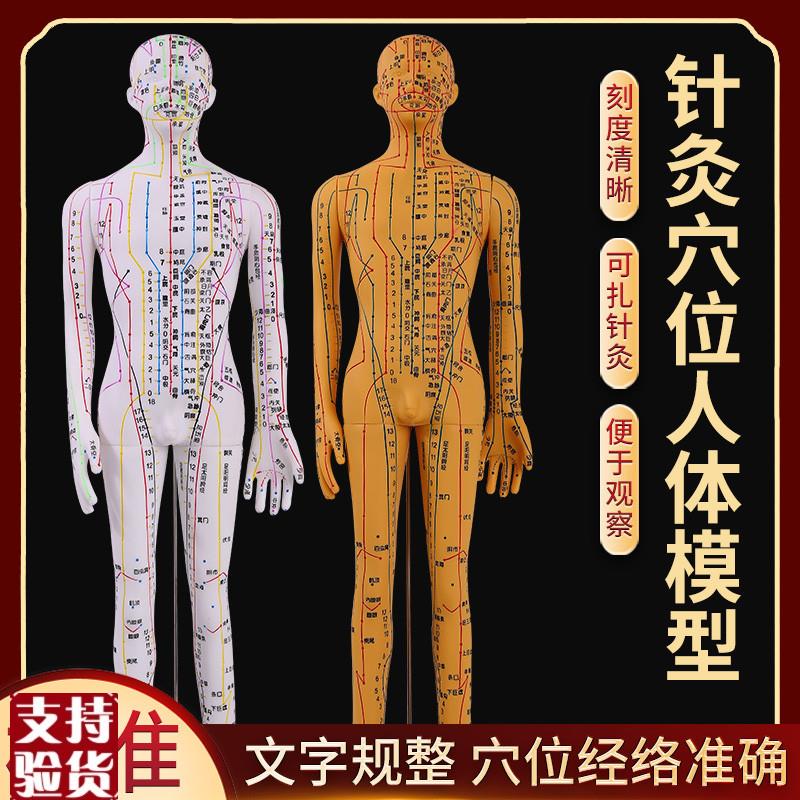 全铜色人体针灸模型人经络穴位中医F全身十二铜人模特图可扎针练