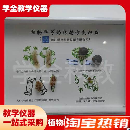 植物种子传播标本高档新款摆件幼儿园小学教学科T学科普自然教材