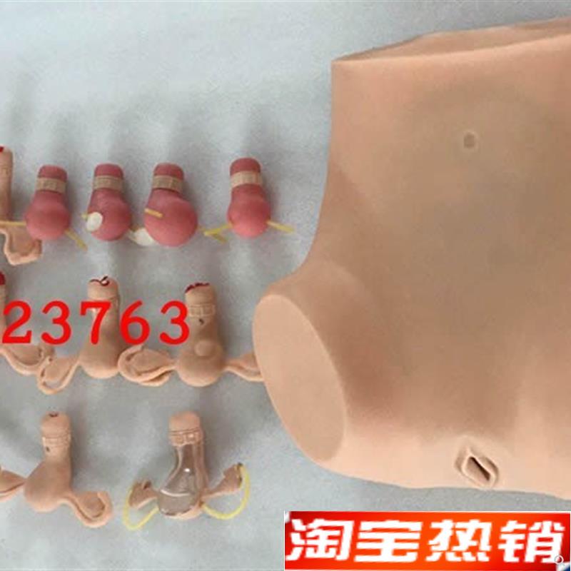 高级妇科a综合检查训练模型正常和各类异常子宫触诊检查模型