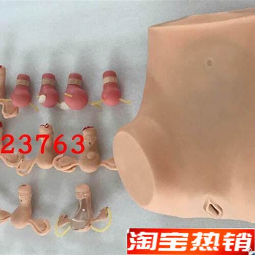 高级妇科a综合检查训练模型正常和各类异常子宫触诊检查模型