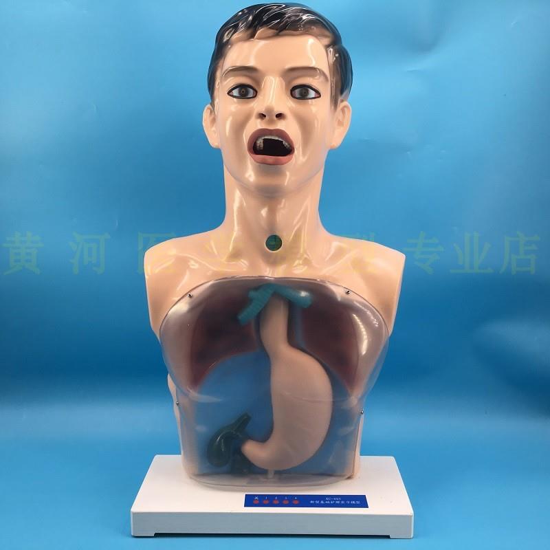 带警示透明洗胃机l制模型洗胃练习模型透明洗胃模型胃模型