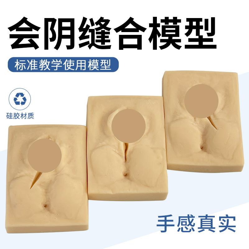 女性会阴缝合模型会阴撕裂缝合模型妇产科会阴X切开缝合模型