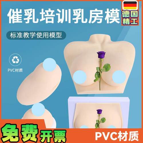 女性乳房模型h催乳师培训道具哺乳教学模型硅胶假乳房医学教具