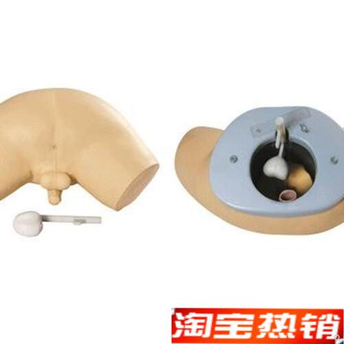 前列腺检查模型人体前列腺检查教学模型前X列腺培训模型