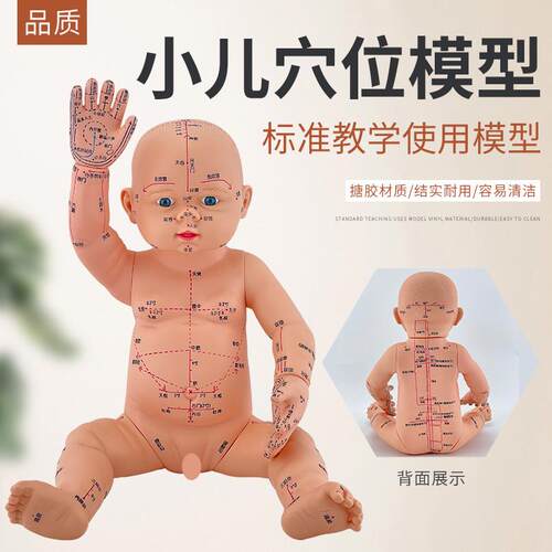 婴儿穴位娃娃推拿按摩婴儿中医通用小儿针灸穴U位宝宝仿真模型
