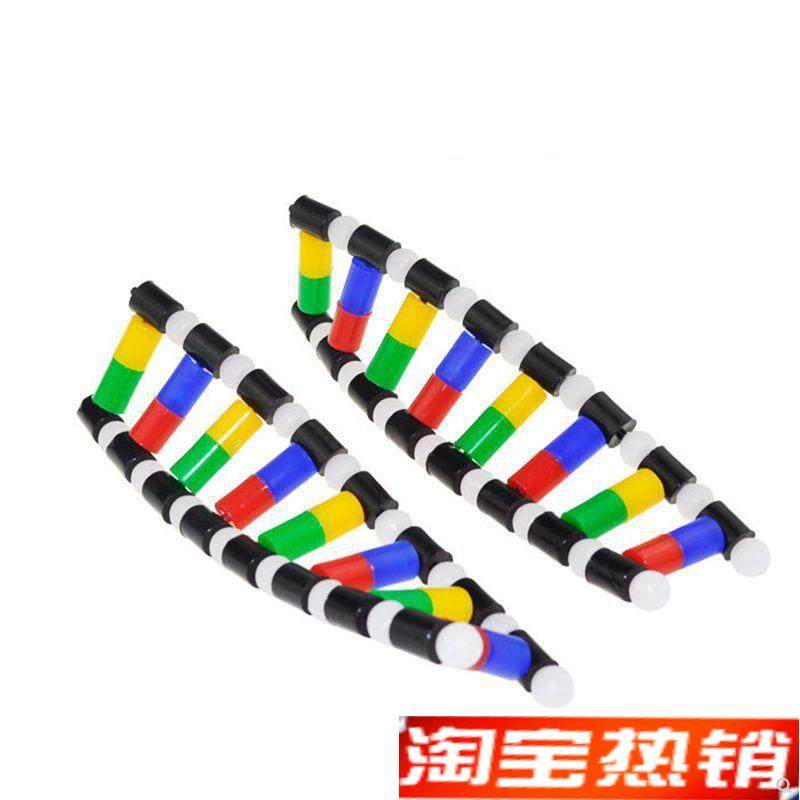 DNA模型脱氧核糖核酸细胞核中学生物G课教学器材医用碱基配对遗传