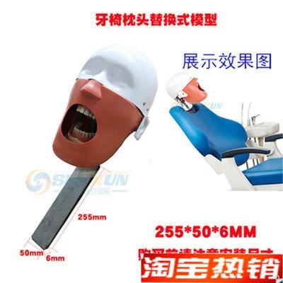 牙科仿真头模口腔简o易头模可放牙椅练习备牙头颅模型拆换牙齿