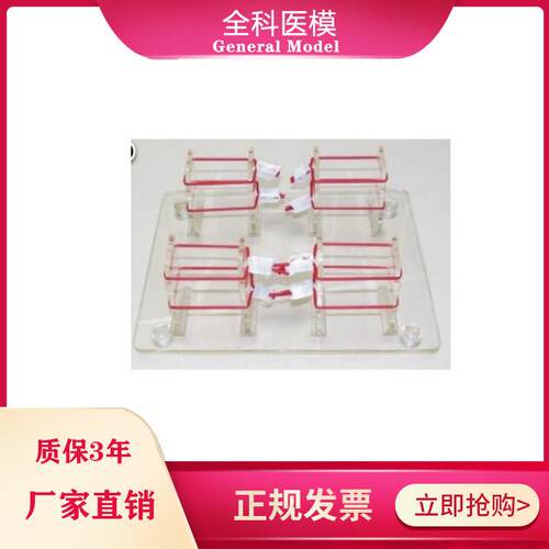 浅表打结技能训练模型外科打结练习模具PGM/LV8-2