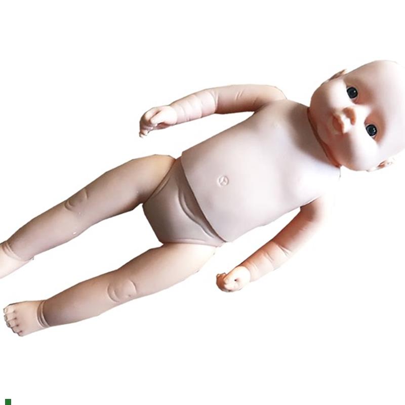 新生儿生a长指标评定及护理训练模型婴儿生长指标护理训练模型人