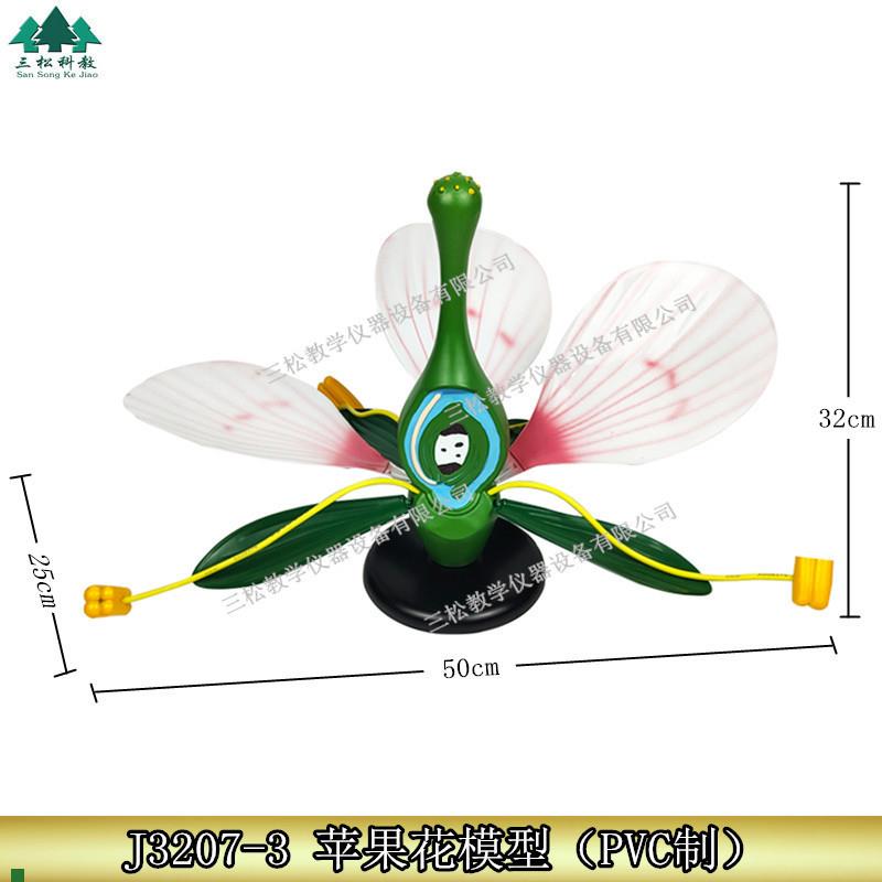 桃花典型双子叶花构造绿色植物花蕊生物展示P医学教学苹果花模型