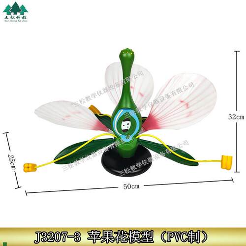 桃花典型双子叶花构造绿色植物花蕊生物展示P医学教学苹果花模型
