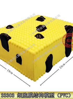 细胞膜结构模型J33303初中高中生物实验器材中Y学教学仪器