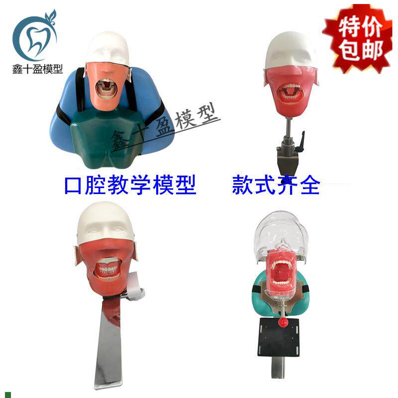 牙科仿真简易头模绑椅式肩体款教学H练习头颅模插椅式绑枕式