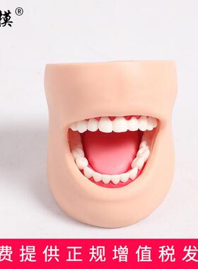 沪模HM/K4牙护理带脸颊s模型正常大小牙护理保健口腔护理清洁牙齿