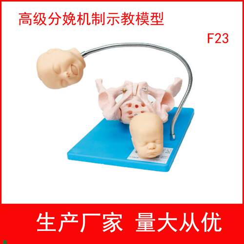 高级分娩机制示教模型可观察到分娩时胎儿与S骨盆妇幼训练模型