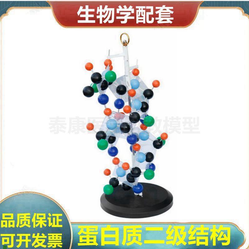 蛋白质二级结构模型氨基酸蛋白质合成I演示DNA双螺旋结构复制
