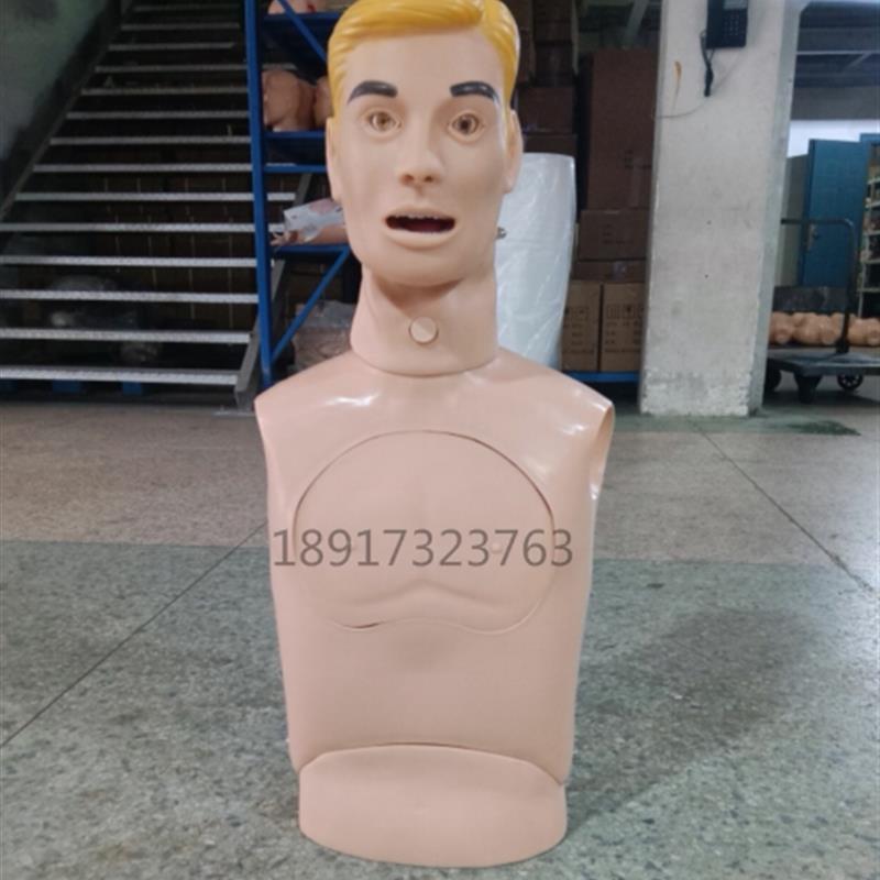 鼻胃管与气管护理模型成人上半身鼻饲洗O胃吸痰插管训练模型