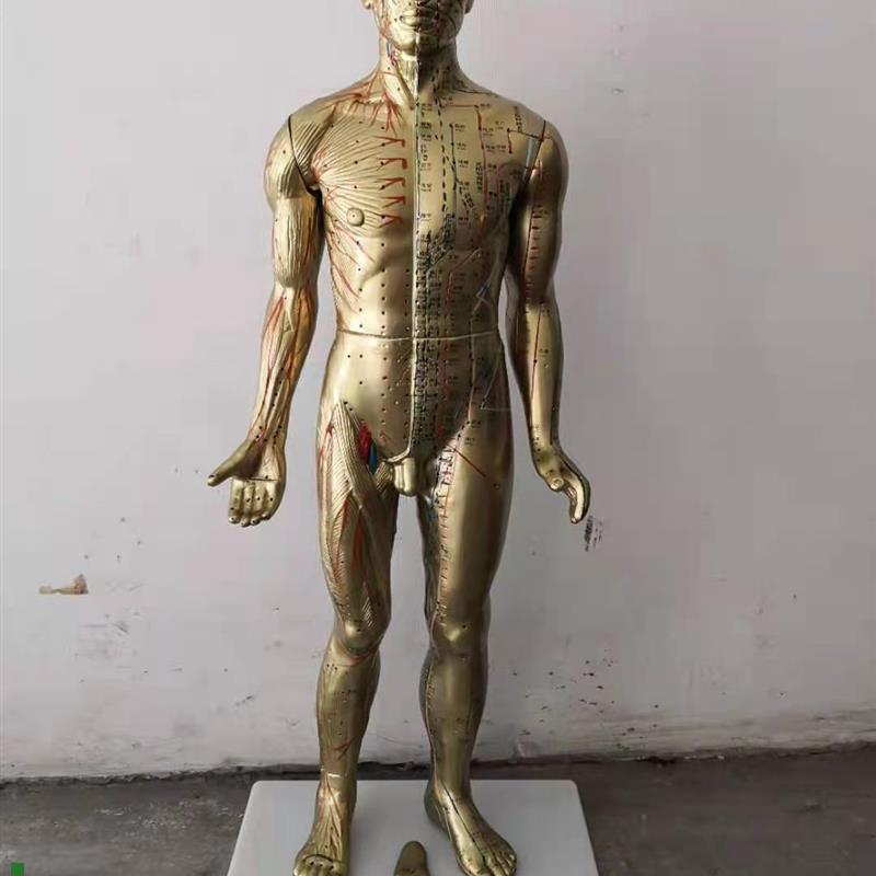 85CM人体针灸模型中医Y经络穴位模