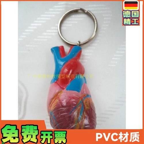 心脏钥匙扣仿真心脏小型人x体心脏钥匙扣模型人体内脏钥匙扣