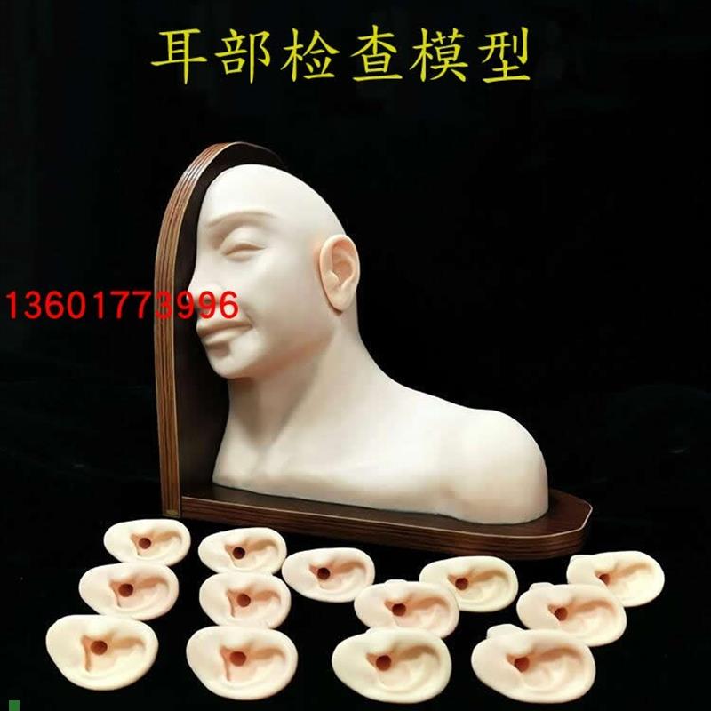 高级耳部检查模型q采耳操作练习模型耳内检查模型