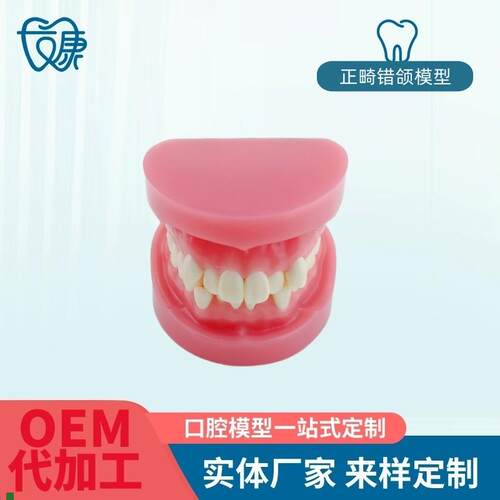 牙科牙齿材料模型牙模口腔正畸训D练模型牙模型标准练习正畸模型
