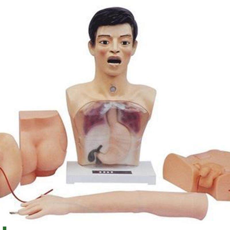 新型基础护理模型