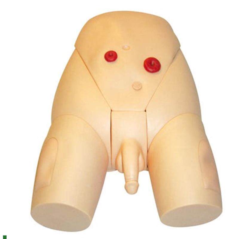 高级整体男性导i尿模型人体导尿模型男女性导尿模型导尿示教模型
