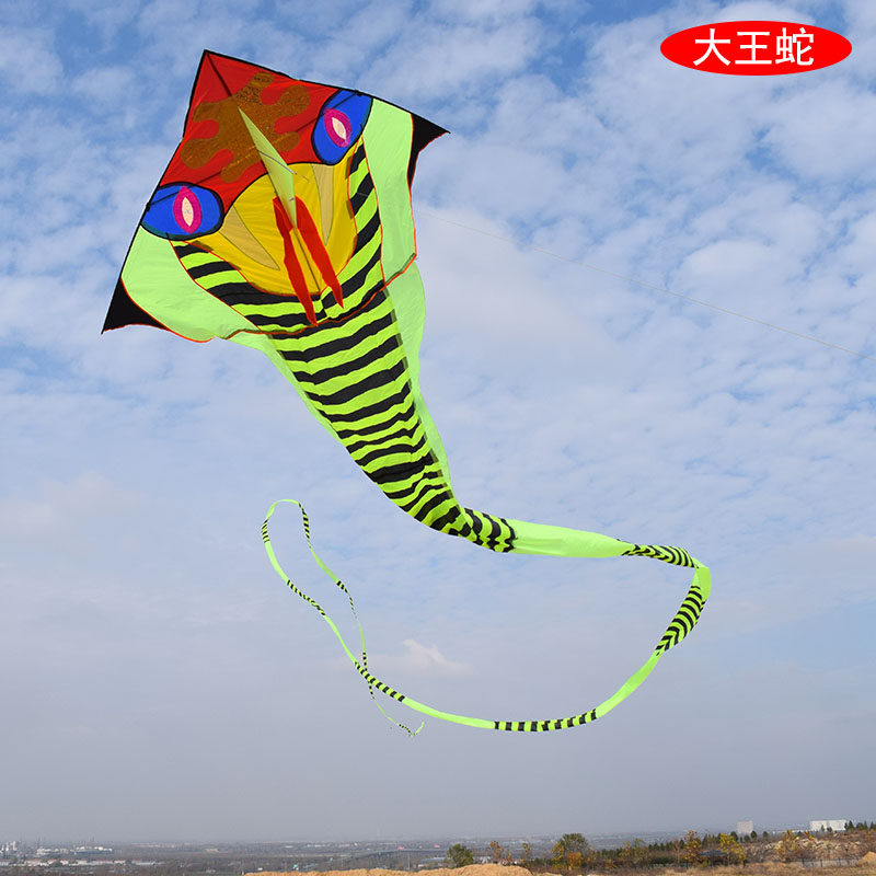 王蛇风筝微风易飞长蛇青蛇潍坊大特大长串带尾部专业大型风筝个性