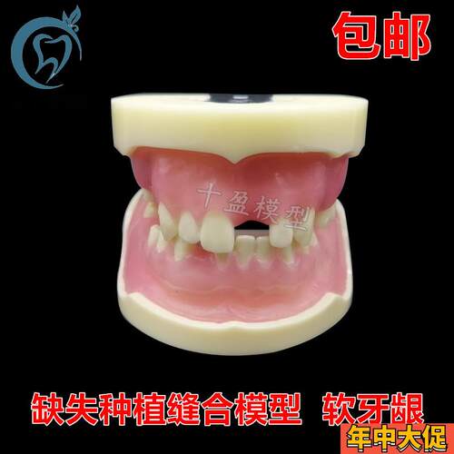 牙科缺失种d植模型缝合练习牙模仿骨质牙齿上颌窦提升术m2002