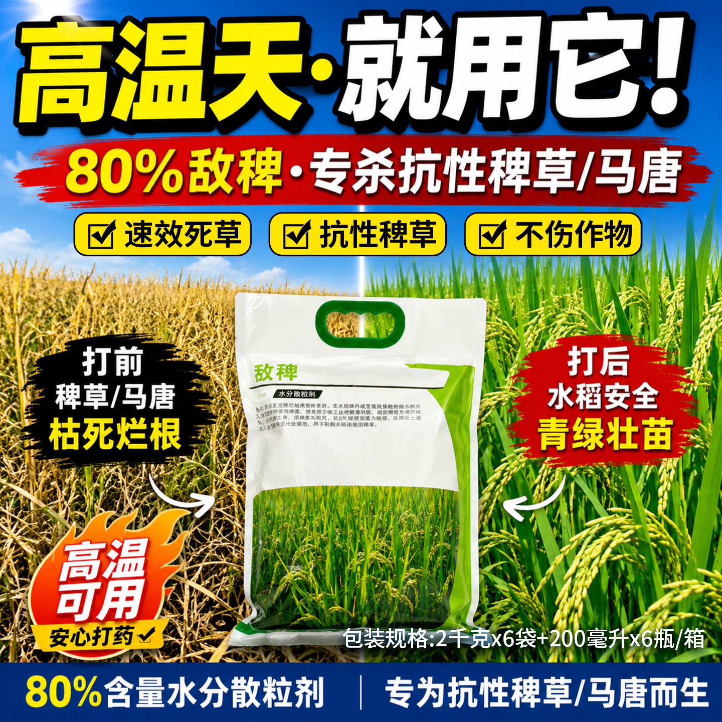 敌稗80%水稻移栽田抗性稗草除草图片