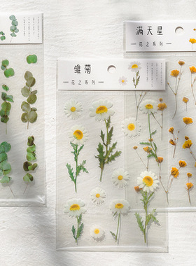 NewPET sticker flower series small fresh plant material hand