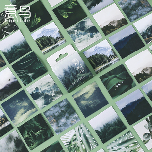 46Pcs/Box Green Forest Series Stickers Aesthetic Stickers