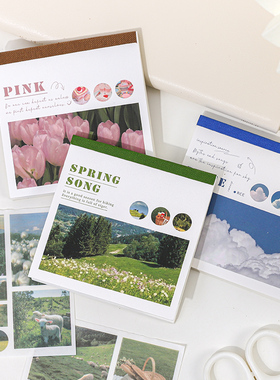 50sheets 50 Patterns Washi Paper Ins Stickers Book