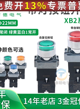 施耐德带灯按钮XB2BW33B1C 34B1C 35B1C 33M1C红绿黄蓝AC220/DC24