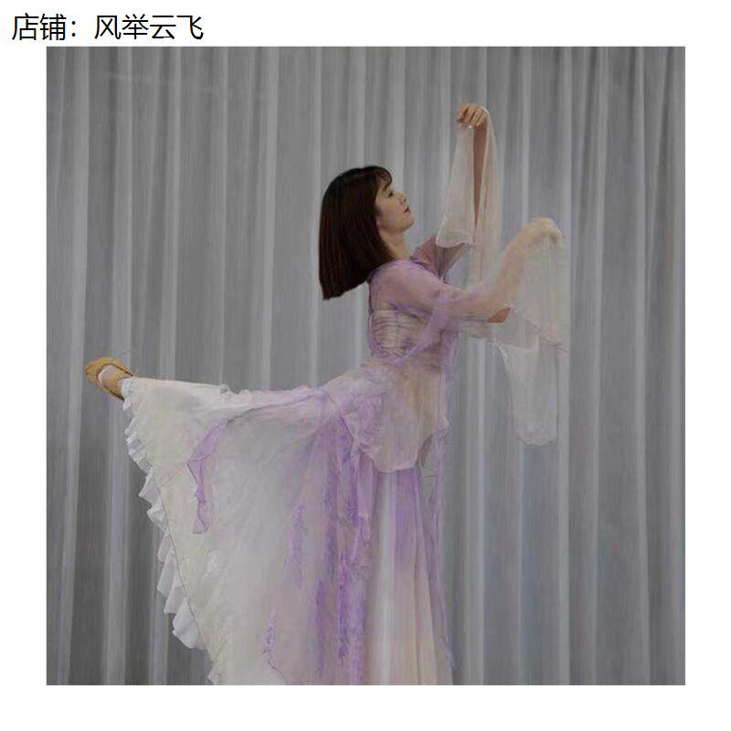 藤花漫漫古典舞蹈服装女