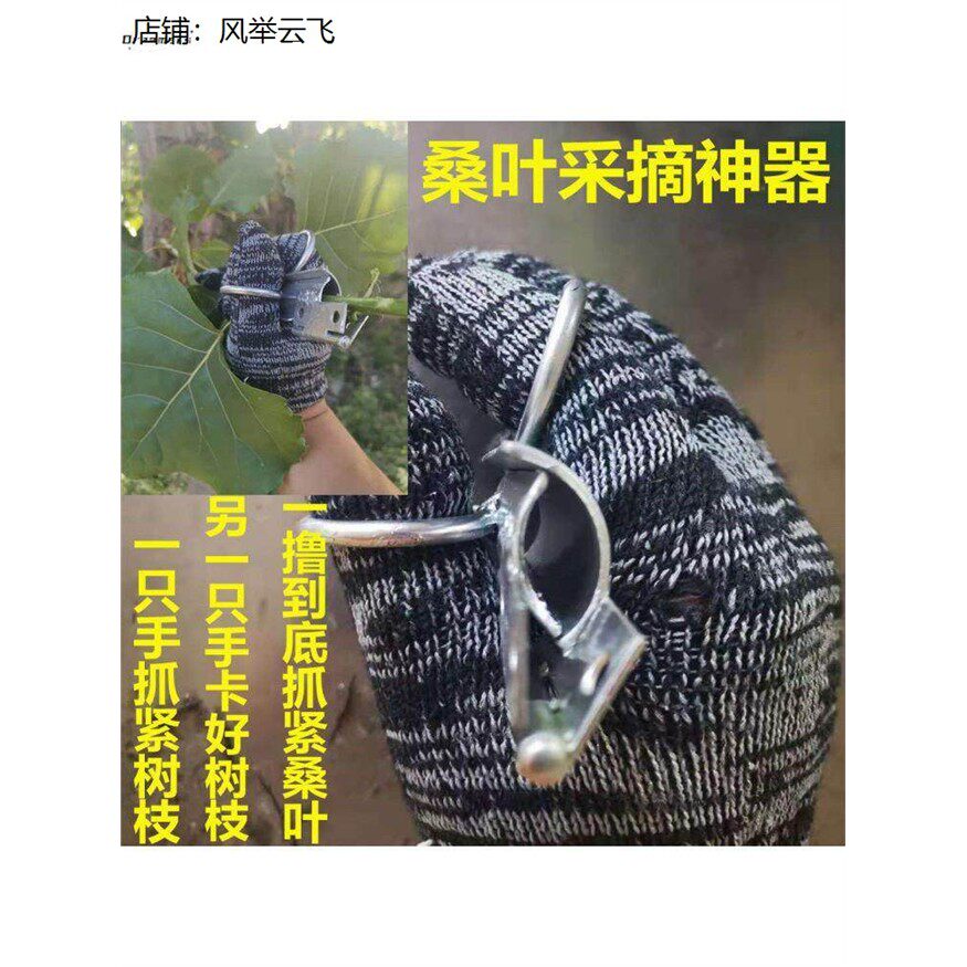 。采桑叶神器摘工具子蚕