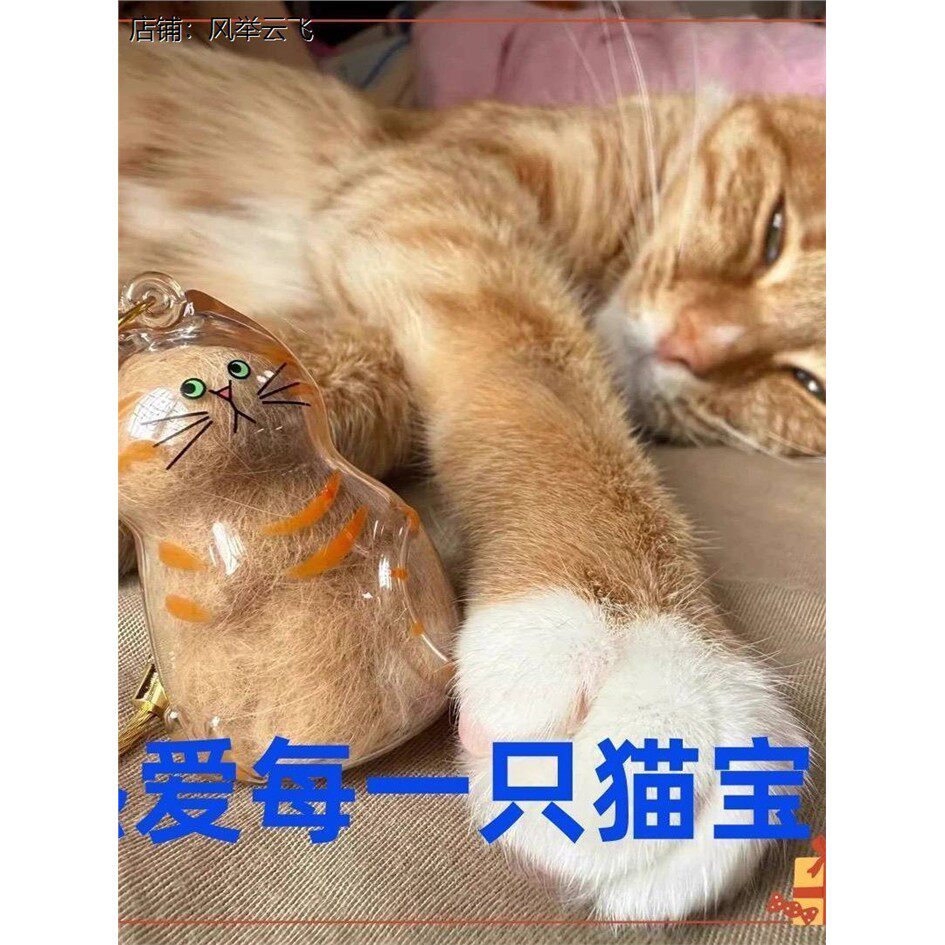 猫毛收纳挂件透明盒吊饰