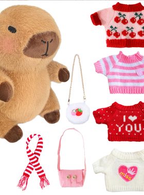 新品Capybara 公仔毛衣套装和配饰毛绒玩具毛衣围巾帽子配饰装饰