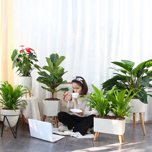 智能缺水报警自吸水花盆北欧风实木木架创意懒人花盆包邮