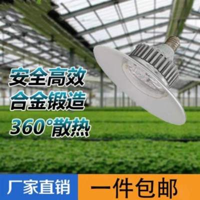 。大棚补光灯全光谱光合作用月季植物叶菜多肉蔬菜大棚小型西红柿