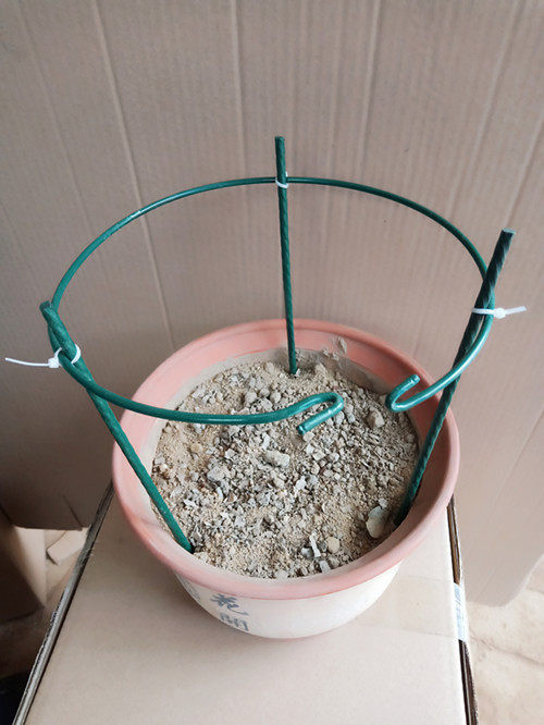 蟹爪兰支架子可伸缩调大小嫁接拢花架兰花架一单层支撑枝架蟹甲兰,鲜花速递/花卉仿真/绿植园艺,花架,淘宝优惠券,粉丝福利购,淘宝优惠卷