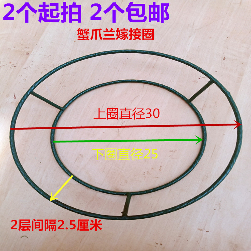 包邮铁圈叶仙嫁接伞形花架