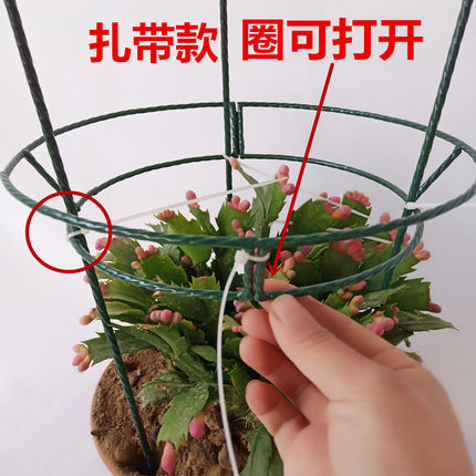 铁艺花架蟹爪兰植物支撑半圆固定花支架绣球月季爬藤聚拢护叶架攀