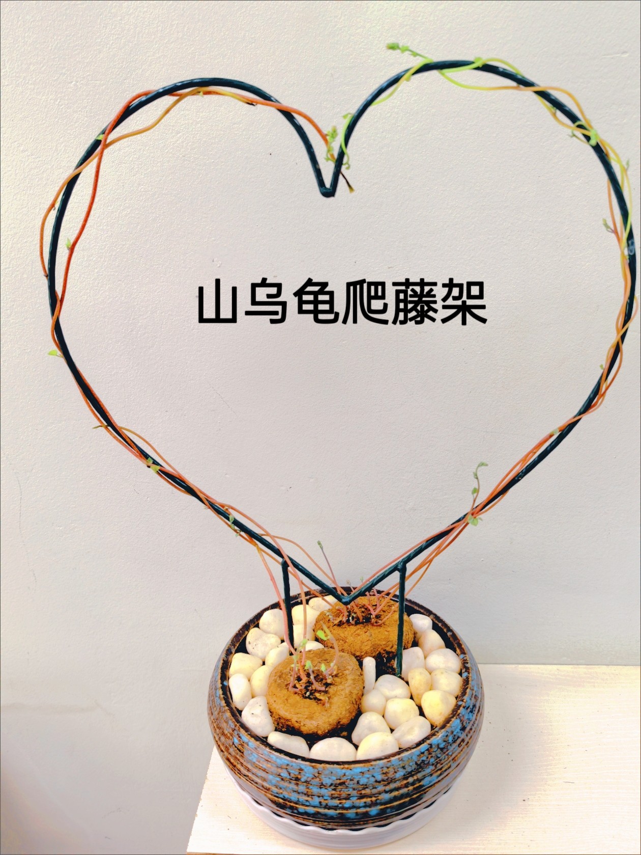 新款爱心形铁艺花架山乌龟绿萝爬藤架子绿植攀爬园艺圆形造型支架